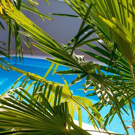 Majestic Vista - Private Pool