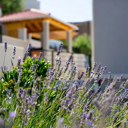 Majestic Vista - Private Pool